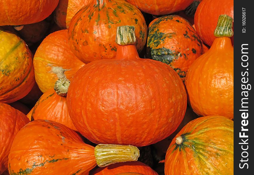 Colorful pumpkins