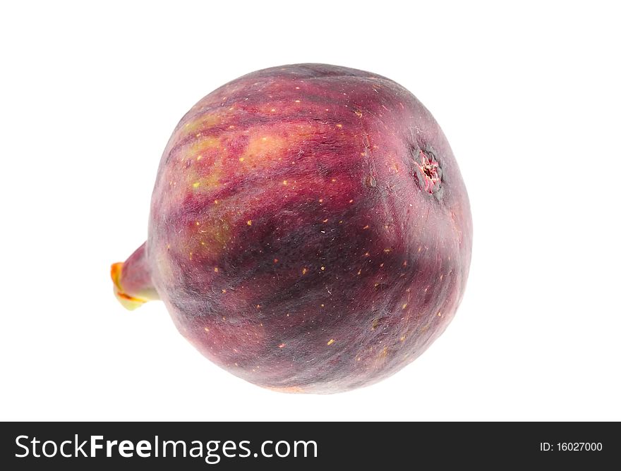 A fresh fig isolated on a white background