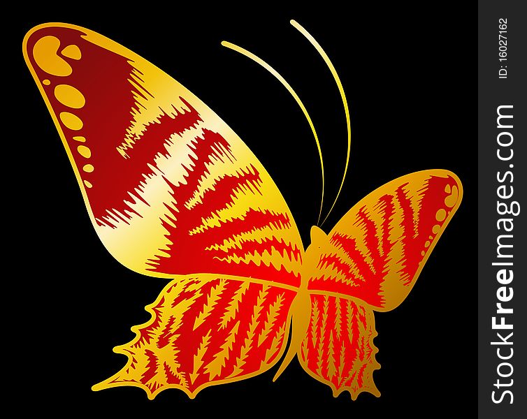 Beautiful Butterfly For A Design