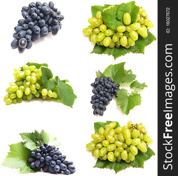 Collection cluster of blue grape isolated on white background. Collection cluster of blue grape isolated on white background