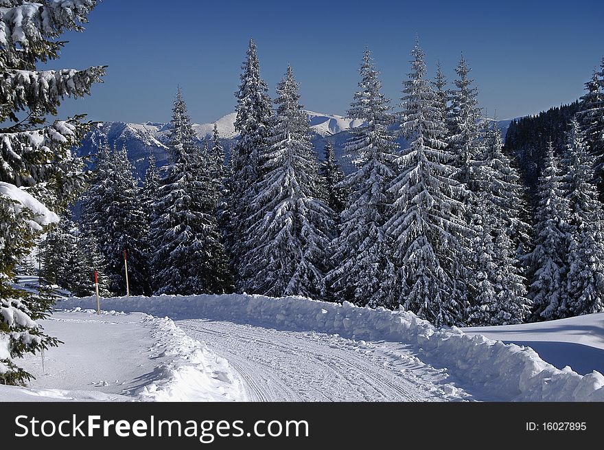 Snowy winter road in the country of Slovakia. Snowy winter road in the country of Slovakia