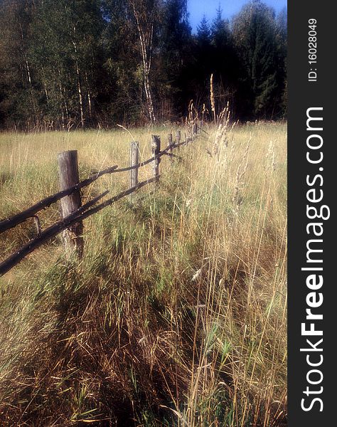 Wild forest and abandoned fence in Russia North. Wild forest and abandoned fence in Russia North