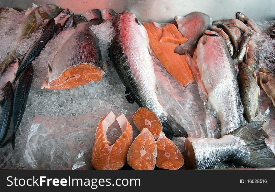 Fresh Fish On Ice Counter