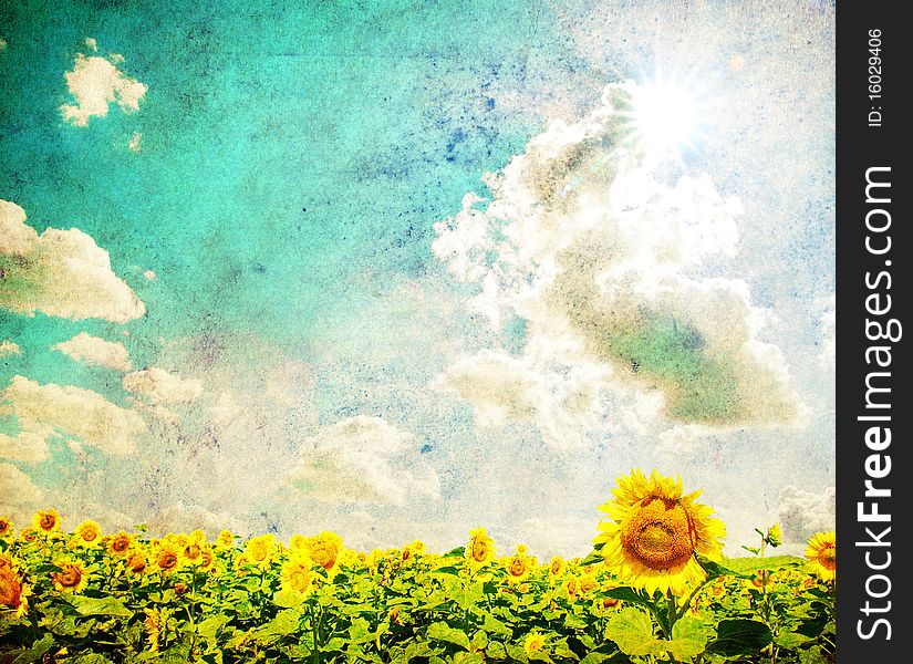 Sunflower field over cloudy blue sky