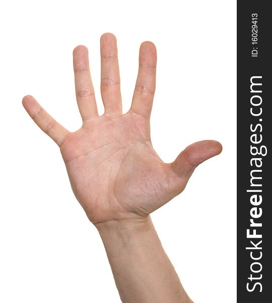 Well shaped business man hand count isolated over white. five