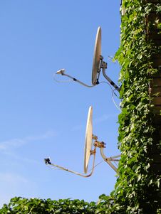 Satellite Dishes Royalty Free Stock Image Satellite Dishes Royalty Free Stock Image