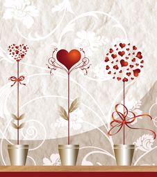 Floral Composition Stock Photography Floral Composition Stock Photography