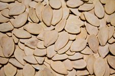 Pumpkin Seed Stock Images Pumpkin Seed Stock Images