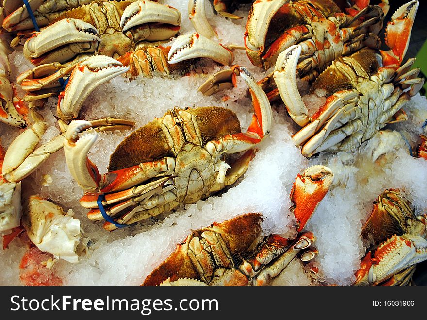 Dungeness crab for sale at the market. Dungeness crab for sale at the market