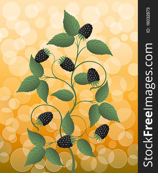 Floral background with a blackberry. Vector illustration.