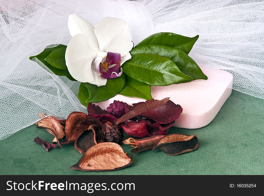 Cleaning products and beauty on a green background. Cleaning products and beauty on a green background