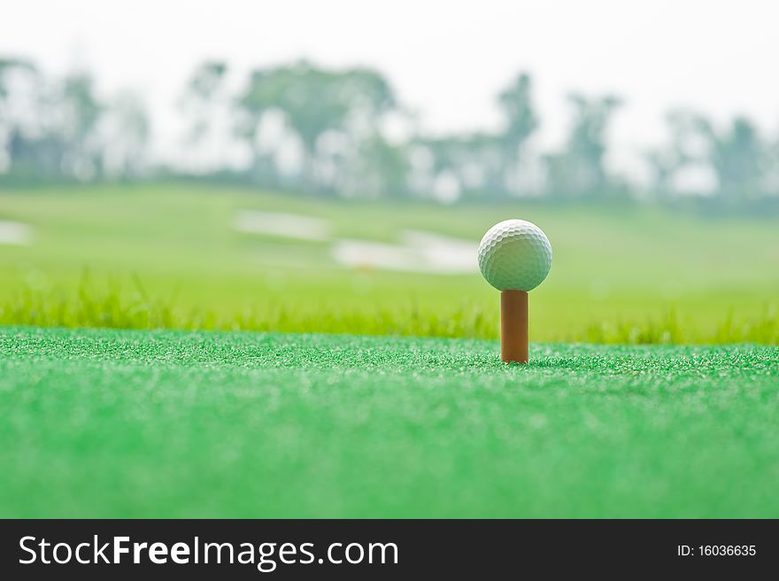 Golf in green grass background. Golf in green grass background.