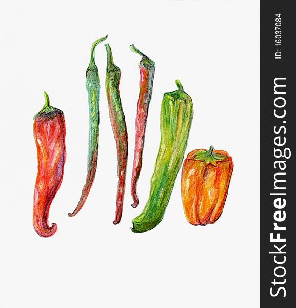 An illustration of a row of fresh, home grown peppers and chillies in red, green and orange on a white background. An illustration of a row of fresh, home grown peppers and chillies in red, green and orange on a white background.