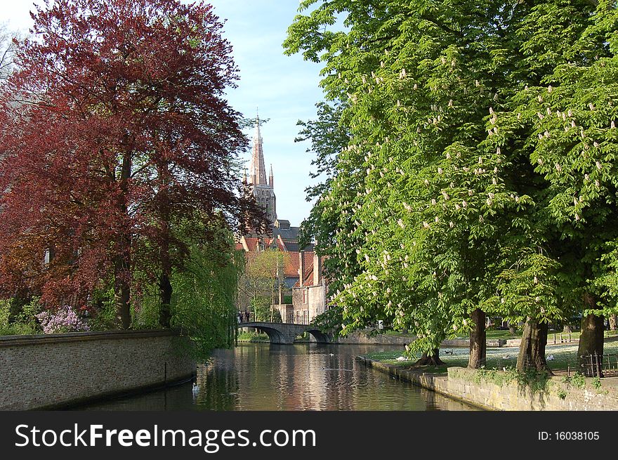 Canal in Bruje with trees and church. Canal in Bruje with trees and church