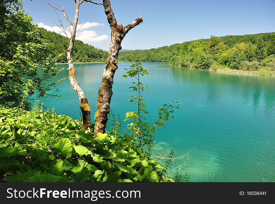 Beautiful Lake In Croatia