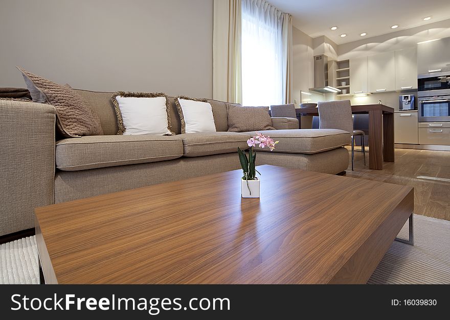 Interior of new designer living room with shared kitchen