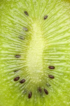 Fresh Green Kiwi Royalty Free Stock Images Fresh Green Kiwi Royalty Free Stock Images