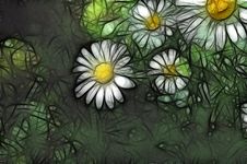 Daisies Painting Royalty Free Stock Photos Daisies Painting Royalty Free Stock Photos