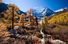 Autumn Royalty Free Stock Image Autumn Royalty Free Stock Image