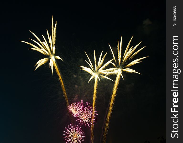 Yellow fireworks as palm at night