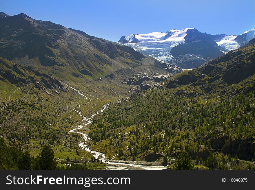 River of pines and mountain pastures. River of pines and mountain pastures