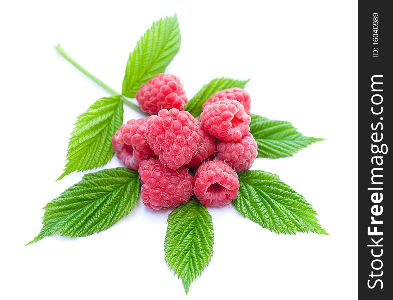 Heap of ripe raspberries with leaves, isolated on white
