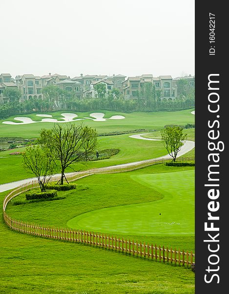 Golf grass and tree in china. Golf grass and tree in china
