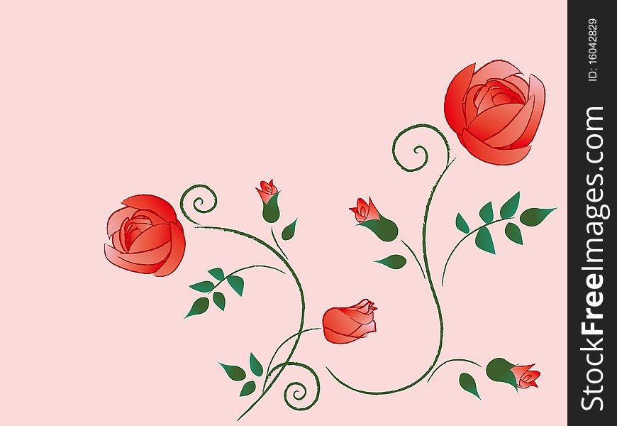 Illustration of  rose pink background
