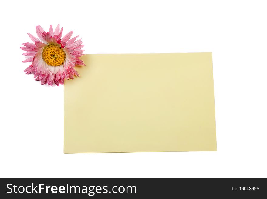 Flower with paper sheet