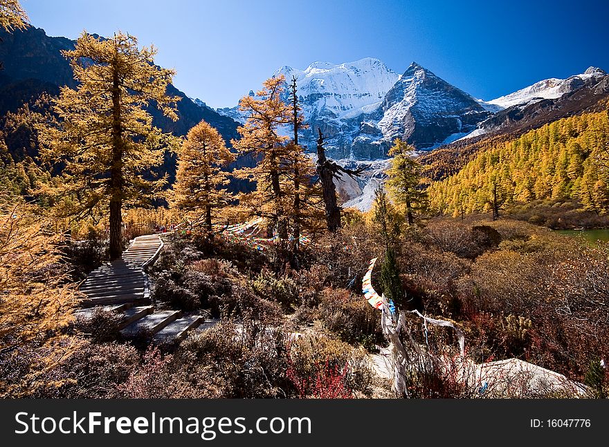 Snow mountain in the autumn china