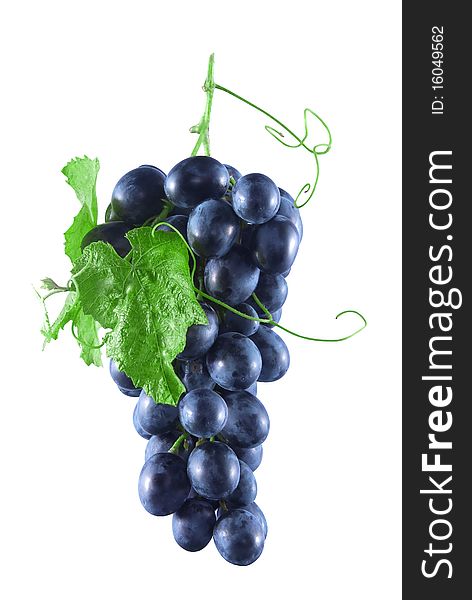 Bunch of ripe grapes with blue green leaves and a mustache, isolated on a white background