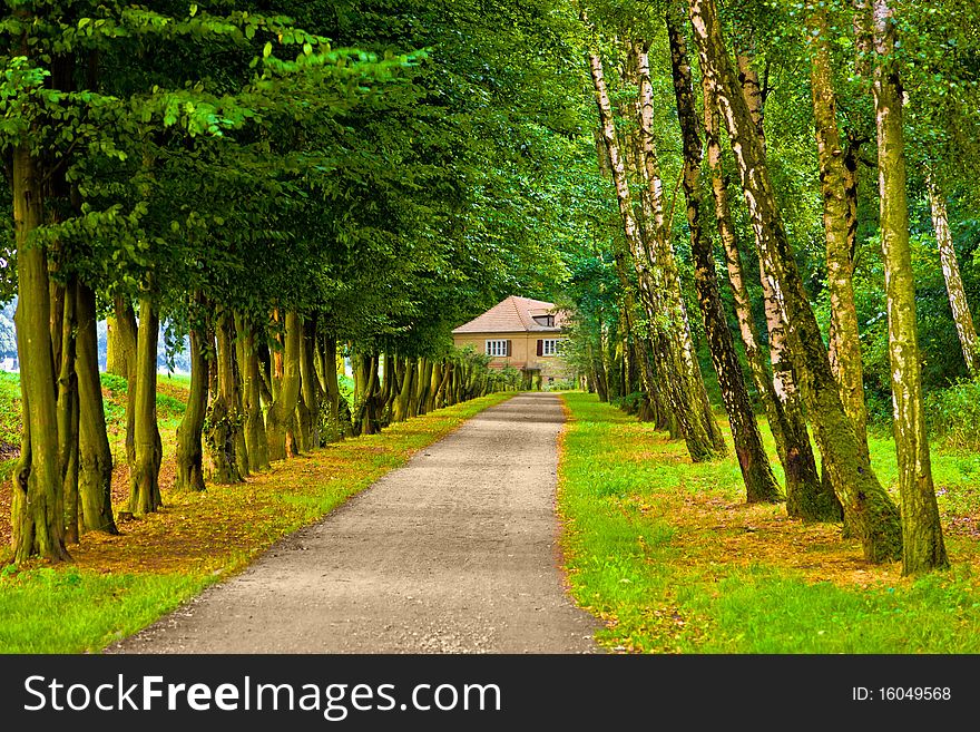 Park in spring time with lots of trees. Park in spring time with lots of trees