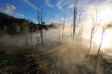 Thermal Lake In The Kuirau Park In Rotorua Royalty Free Stock Photography Thermal Lake In The Kuirau Park In Rotorua Royalty Free Stock Photography