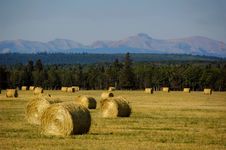 Ranchland Bails Royalty Free Stock Photos Ranchland Bails Royalty Free Stock Photos