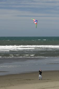 Kite Flying On Beach Royalty Free Stock Images