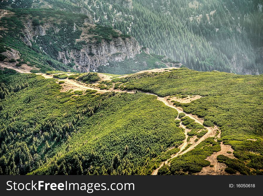 A tourist trail in Ceahlau Mountains, Romania