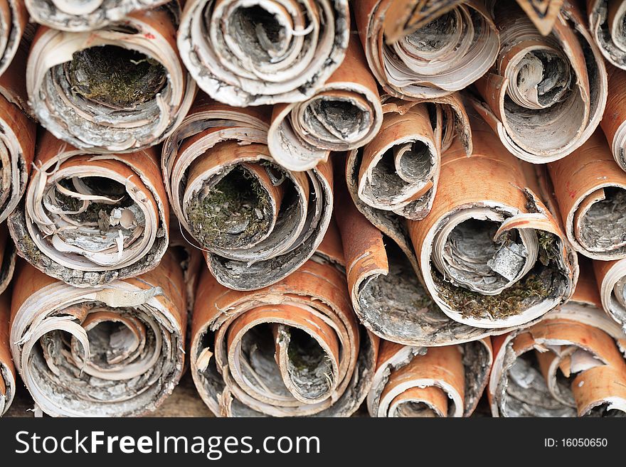 Background made from lot of birch bark rolls. Background made from lot of birch bark rolls