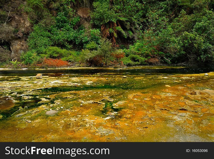 Hot Stream with mineral sediments, Waimangu Volcanic Valley, Rotorua, New Zealand