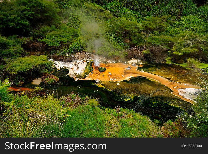 Hot Stream with mineral sediments, Waimangu Volcanic Valley, Rotorua, New Zealand