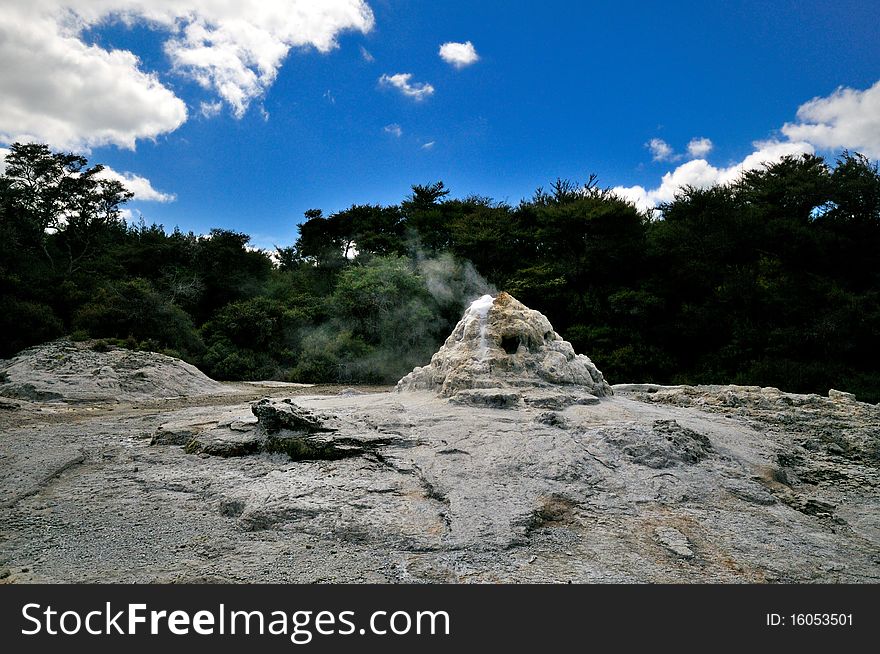 _Lady Knox Geyser, Wai-O-Tapu