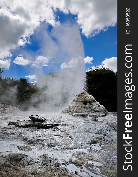 _Lady Knox Geyser, Wai-O-Tapu