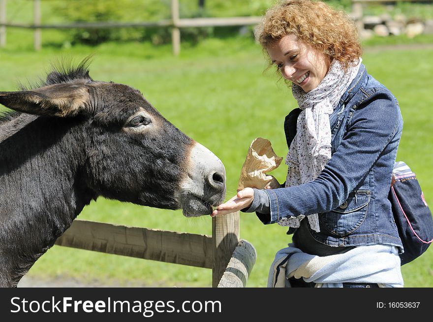 Girl Feeding Burro