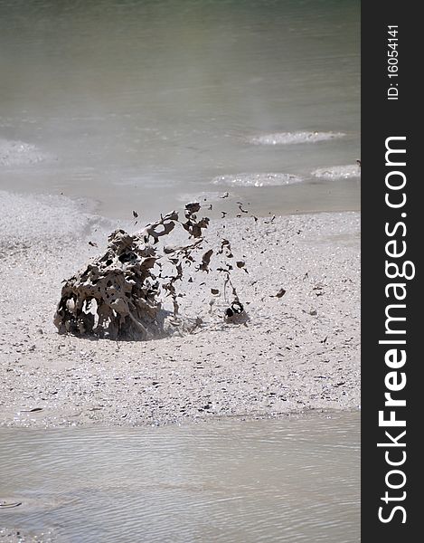 Boiling Mud, Wai-O-Tapu Thermal Wonderland