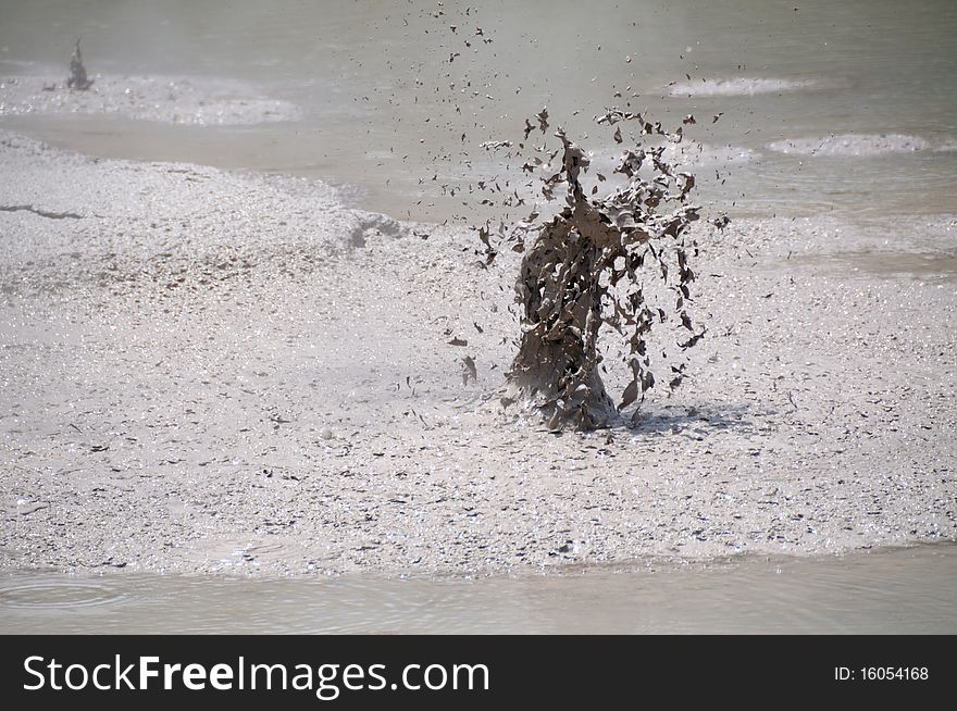 Boiling Mud, Wai-O-Tapu Thermal Wonderland