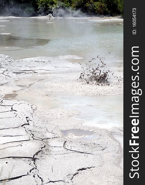 Boiling Mud, Wai-O-Tapu Thermal Wonderland