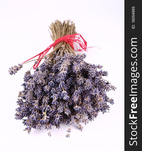 Bunch of dried lavender tied with a red string on white