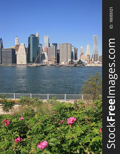 Lower Manhattan skyline and the East River as seen from Brooklyn Bridge Park. Lower Manhattan skyline and the East River as seen from Brooklyn Bridge Park.