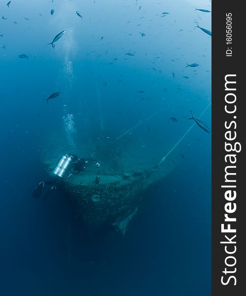 Scuba diver exploring Shipwreck SS Thistlegorm