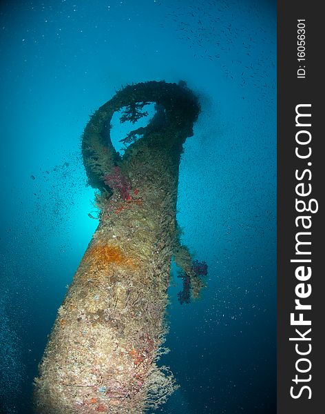 Marine life and coral growth on the mast/crows nest of the Rosalie Moller, World war 2 shipwreck. Red Sea, Egypt. Marine life and coral growth on the mast/crows nest of the Rosalie Moller, World war 2 shipwreck. Red Sea, Egypt.