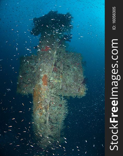 Marine life and coral growth on the mast/crows nest of the Rosalie Moller, World war 2 shipwreck. Red Sea, Egypt. Marine life and coral growth on the mast/crows nest of the Rosalie Moller, World war 2 shipwreck. Red Sea, Egypt.